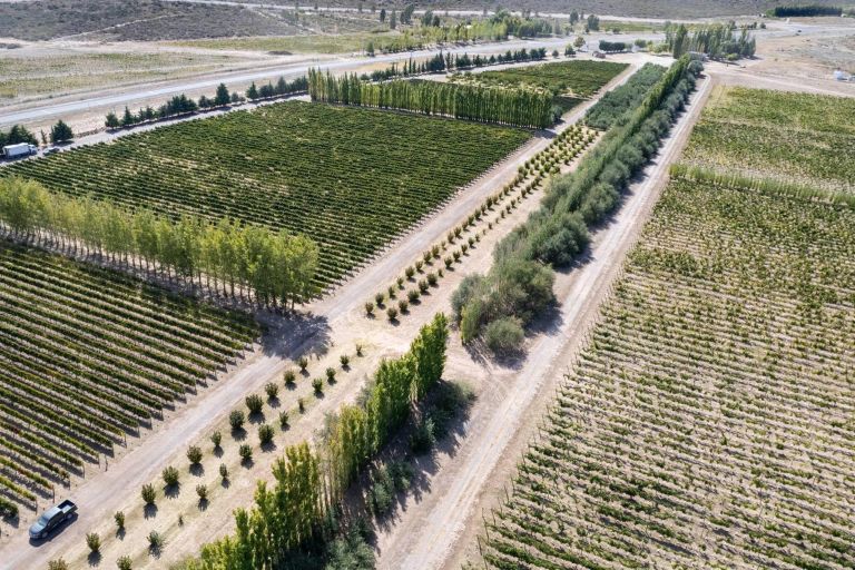 El Gobierno anunció más infraestructura para el área bajo riego de Casa de Piedra que llegará a 1.095 hectáreas de producción en 2026