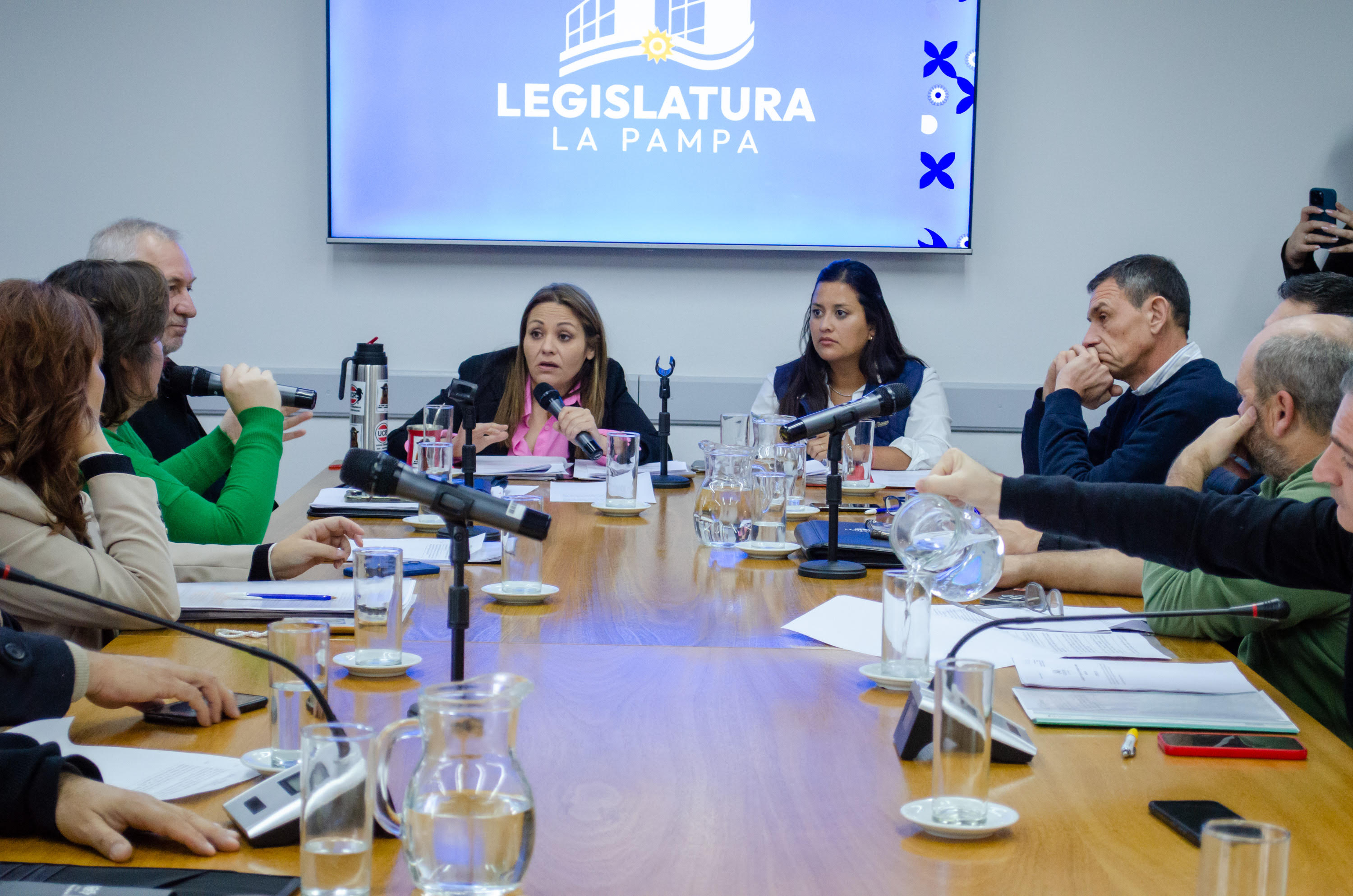 La Legislatura aprueba pedidos clave para transparentar la situación ambiental de “El Medanito”