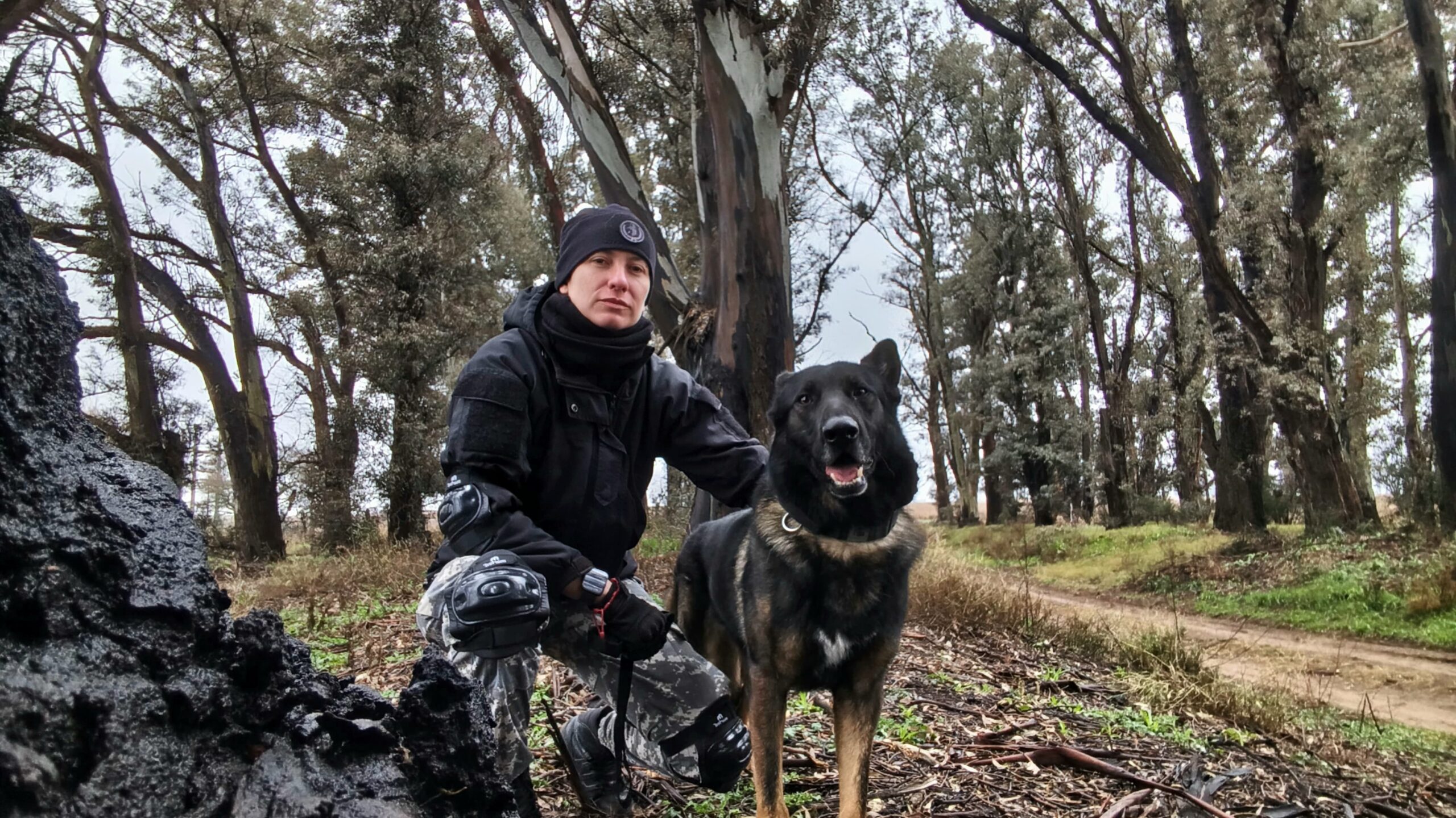 Thor, el primer perro con certificado en búsqueda y rescate de personas