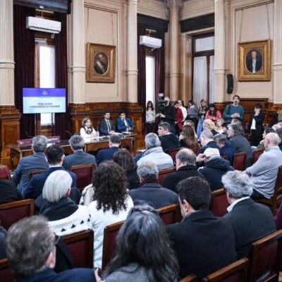 Traspié del Gobierno en Senado por el tema “Discapacidad”: radicales y peronistas emiten dictamen
