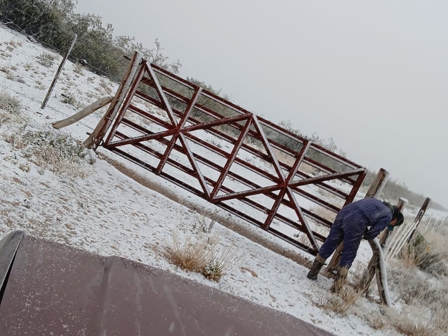 Nieva en varias localidades de La Pampa