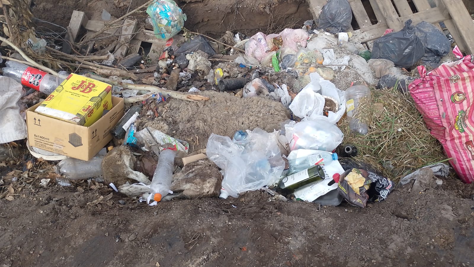 Preocupación en Ceballos por basurero a cielo abierto sin control ni tratamiento