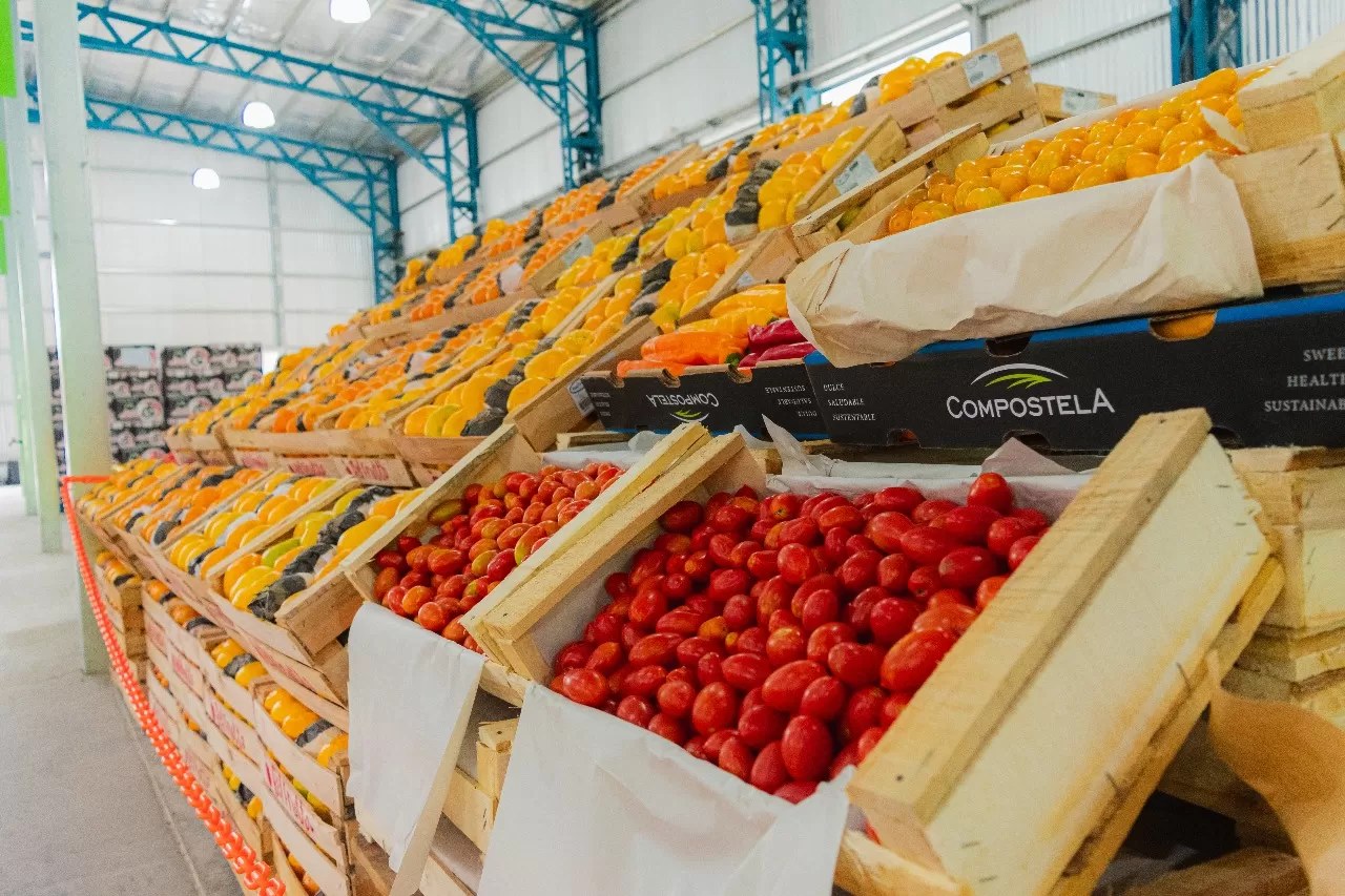 Santa Rosa: el Módulo Despensa abre este jueves con ofertas imperdibles