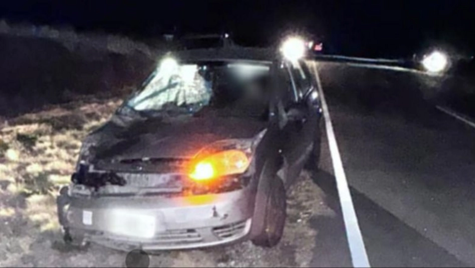 Un auto chocó contra una vaca en la ruta provincial 7: la conductora sufrió golpes leves
