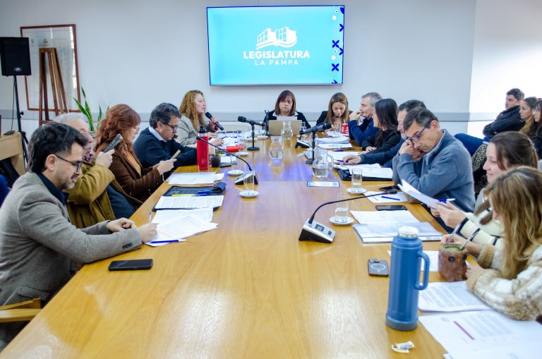 Se conformó en Diputados la comisión que seleccionará al Defensor de Niñas, Niños y Adolescentes