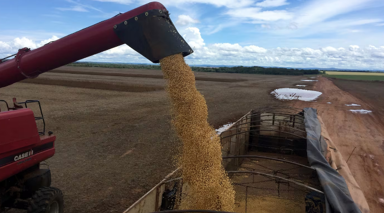 La baja de las retenciones al agro mejora márgenes, pero la carga tributaria impacta los niveles competitivos