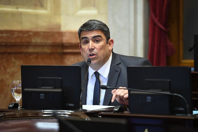 Bensusán: “Defendimos a las universidades y al Garrahan de la perversidad de Milei”