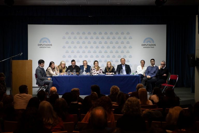 La Pampa participó de una reunión federal en donde se visibilizó la crisis en el ámbito de Salud Mental