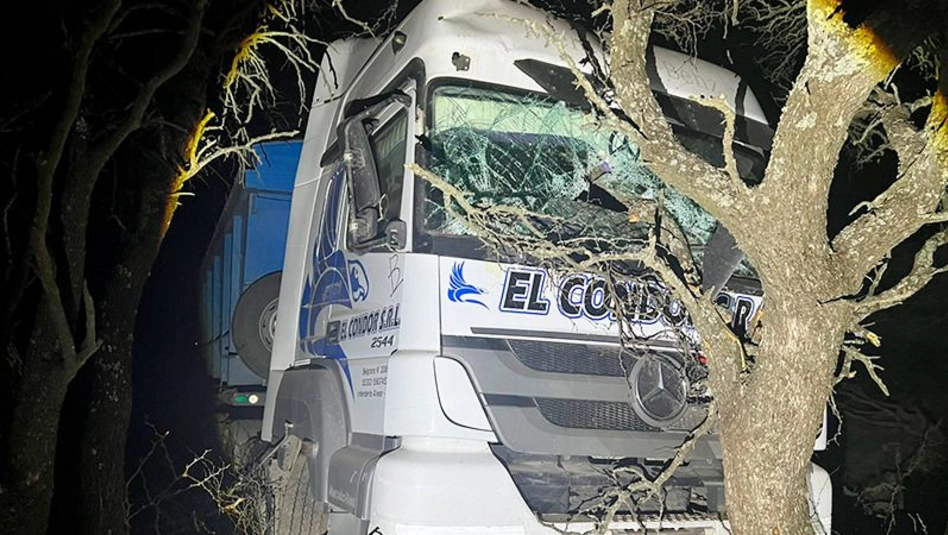 Eduardo Castex: un camionero perdió el control en la ruta 102 y terminó en un monte de caldenes