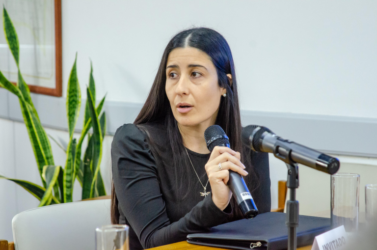 Diputados provinciales analizan el proyecto para modernizar el Consejo Profesional de Ciencias Económicas