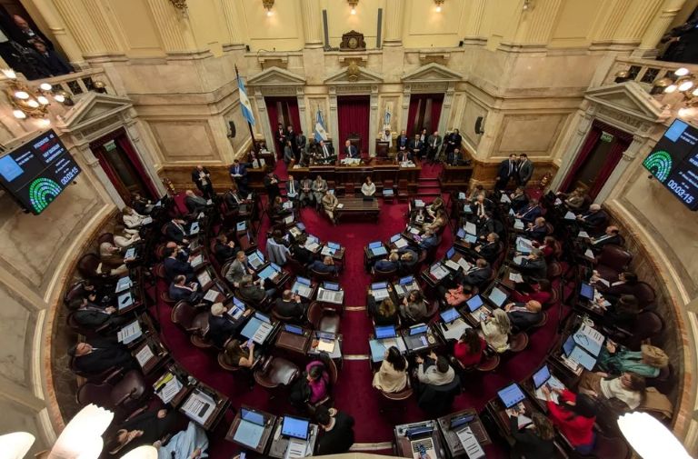“Gran derrota de Milei”, el Senado rechazó el veto en Discapacidad y la ley deberá ser promulgada