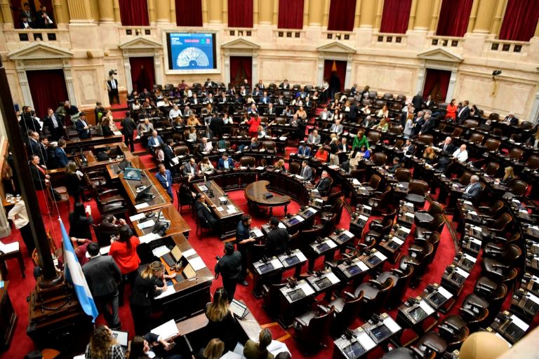 Congreso Nacional: Diputados ya debate el rechazo a los vetos de Garrahan y Universidades