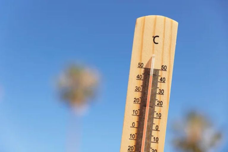 Cambio climático: el mundo experimentó el tercer septiembre más cálido
