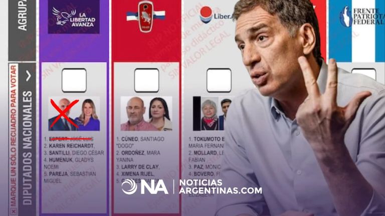 Elecciones 2025: La Libertad Avanza pedirá la reimpresión de las boletas y aguarda la definición de la Justicia Electoral