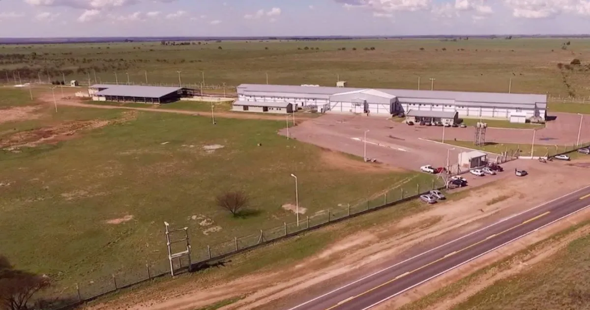 Bernasconi: el Frigorífico pagará los sueldos en cuotas y paralizó la faena