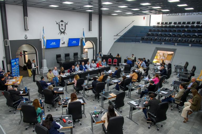 Vanini detalló el Presupuesto 2026 de la Secretaría General en Diputados