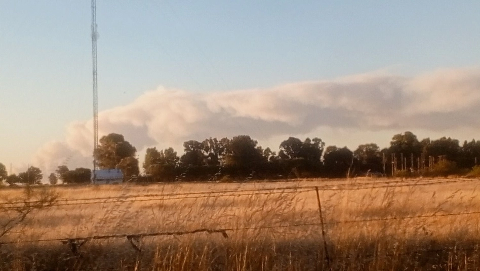 Bernasconi y Jacinto Arauz: incendio en la zona de El Carrizal