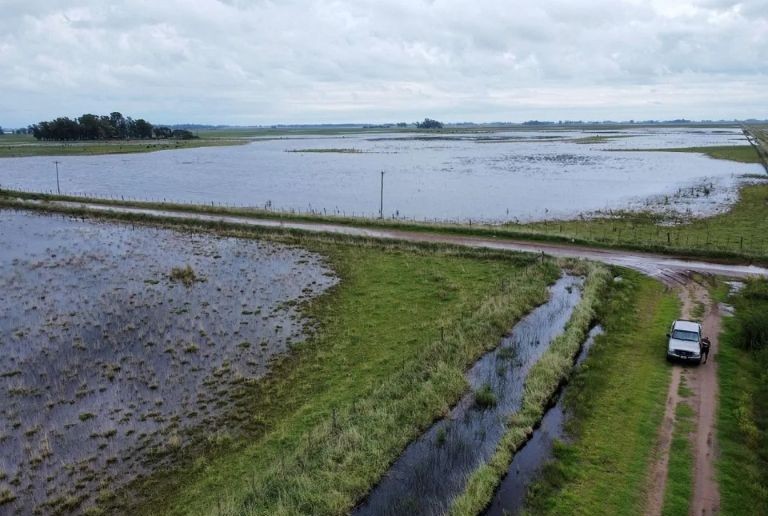 Buenos Aires: declaran emergencia agropecuaria por inundaciones en ocho partidos bonaerenses