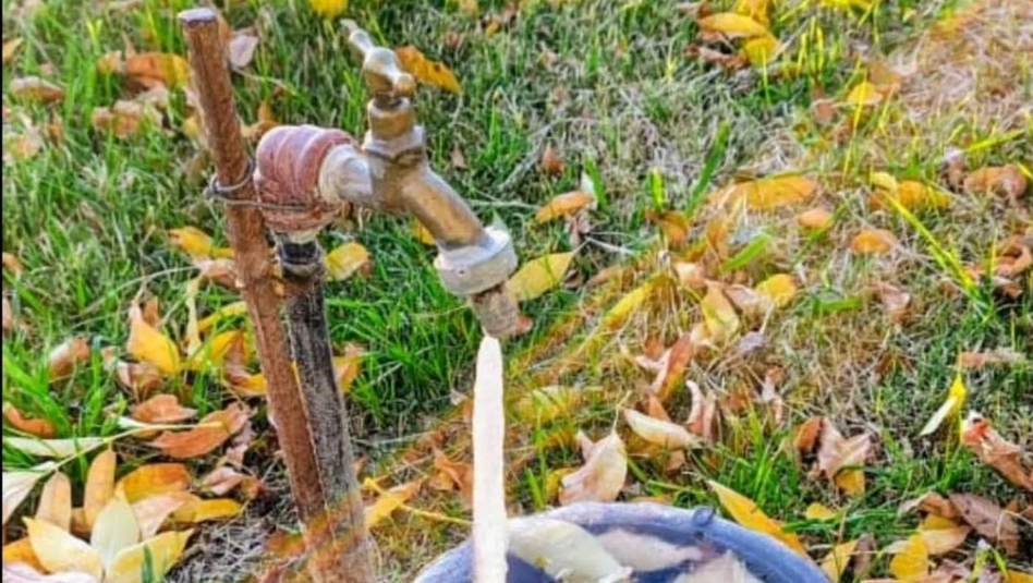 La Reforma: registraron -8°C y se convirtió en la helada más intensa del año en La Pampa