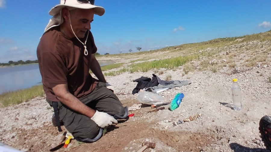 Rolón: rescatan restos fósiles de entre 5 y 7 millones de años