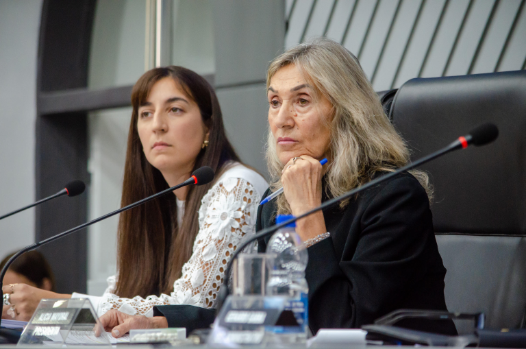 La Cámara de Diputados aprobó nuevo llamado a licitación por El Medanito