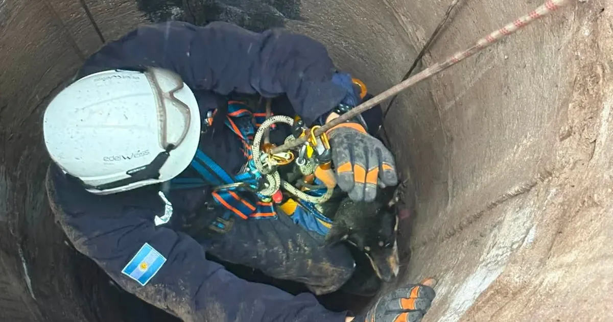 Victorica: Bomberos voluntarios rescataron a una perra que cayó a un pozo de 15 metros de profundidad